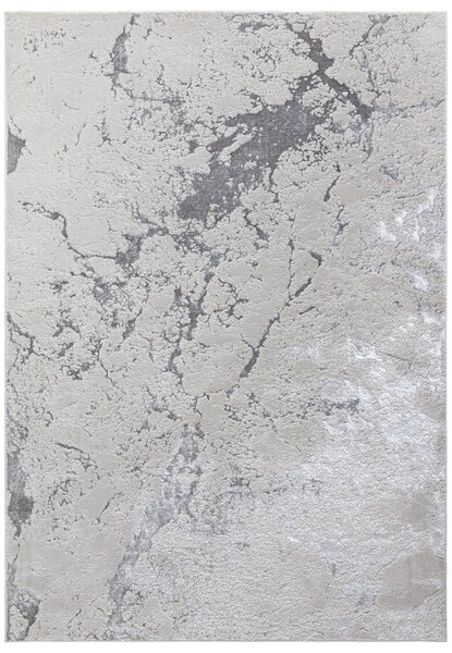 Šedý koberec Beethoven Solar Rozměry: 80x150 cm