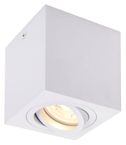 LA 1002015 TRILEDO Single, stropní nástavbové svítidlo, QPAR51, bílá, max. 10W - BIG WHITE (SLV)