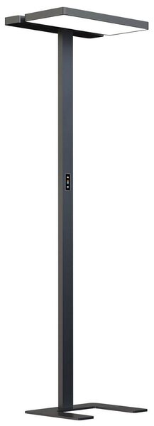 Stojací Lampa Arcchio, Aila, stmívatelné, Černá, Pracovna, Hliník, Moderní