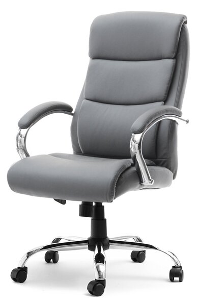 Křeslo Luxus (šedá + chromová). Akce -15%