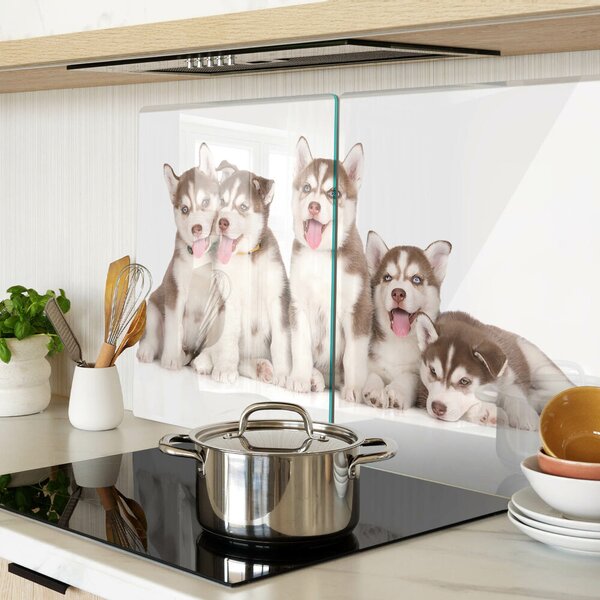 Skleněná deska do kuchyně Štěňata huskyho ddk-nr-wm-00005602