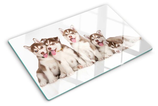 Skleněná deska do kuchyně Štěňata huskyho ddk-nr-wm-00005602