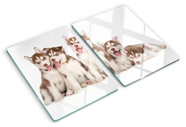 Skleněná deska do kuchyně Štěňata huskyho ddk-nr-wm-00005602