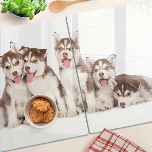 Skleněná deska do kuchyně Štěňata huskyho ddk-nr-wm-00005602
