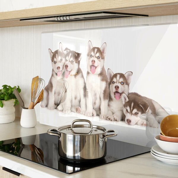 Skleněná deska do kuchyně Štěňata huskyho ddk-nr-wm-00005602