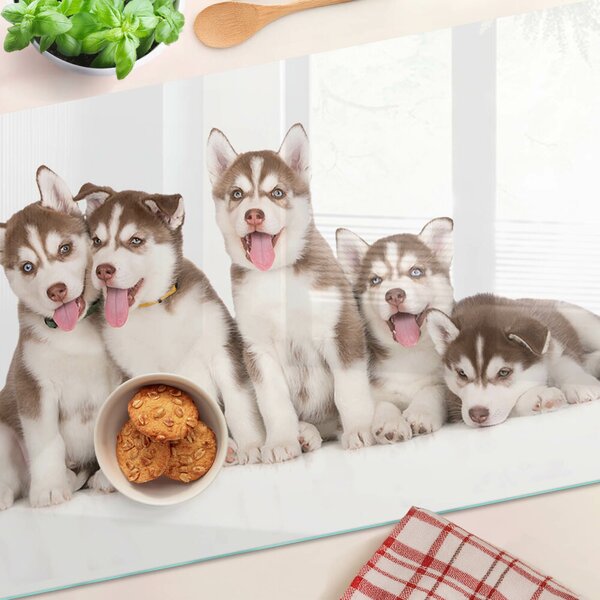 Skleněná deska do kuchyně Štěňata huskyho ddk-nr-wm-00005602