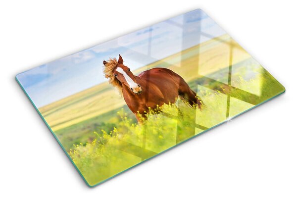 Skleněná krájecí deska Kůň na louce ddk-nr-wm-00005605