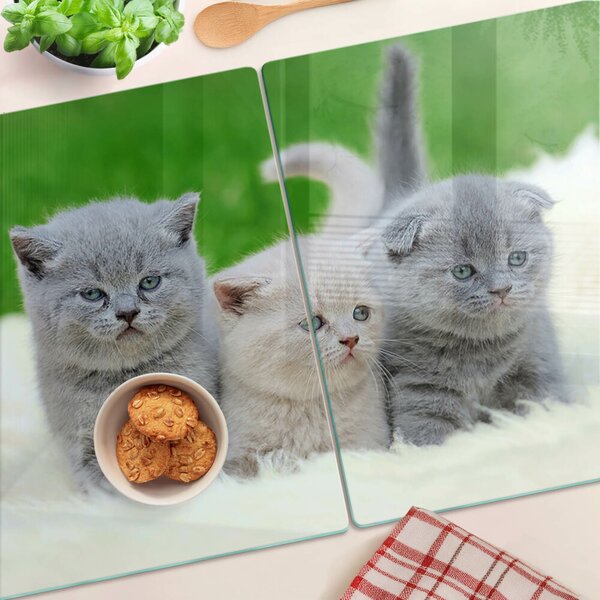 Skleněné krájecí prkénko Koťata na zeleném pozadí ddk-nr-wm-00005610