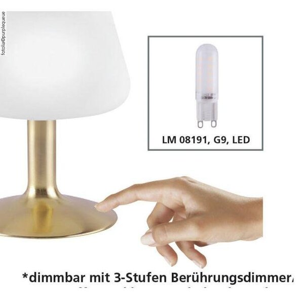 Paul Neuhaus Stolní LED lampa TILL, 3W, v. 20 cm, 3000K stmívatelná, dotykový stmívač Barva: Mosaz