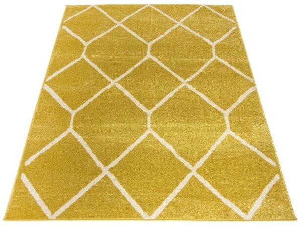 Luxusní kusový koberec Cosina Sing SP0310 - 120x170 cm