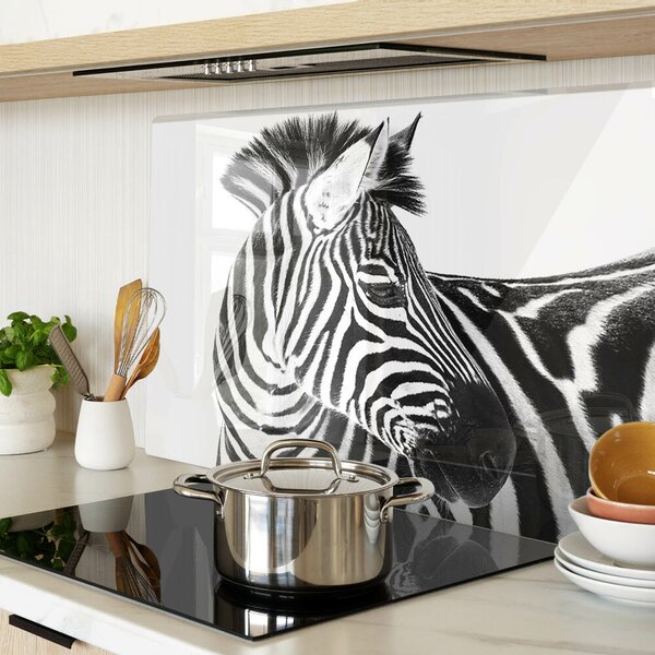 Skleněná krájecí deska Zebra s černými a bílými pruhy ddk-nr-wm-00005635