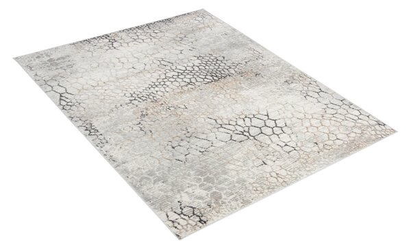 Luxusní kusový koberec Cosina Land PT0210 - 140x200 cm