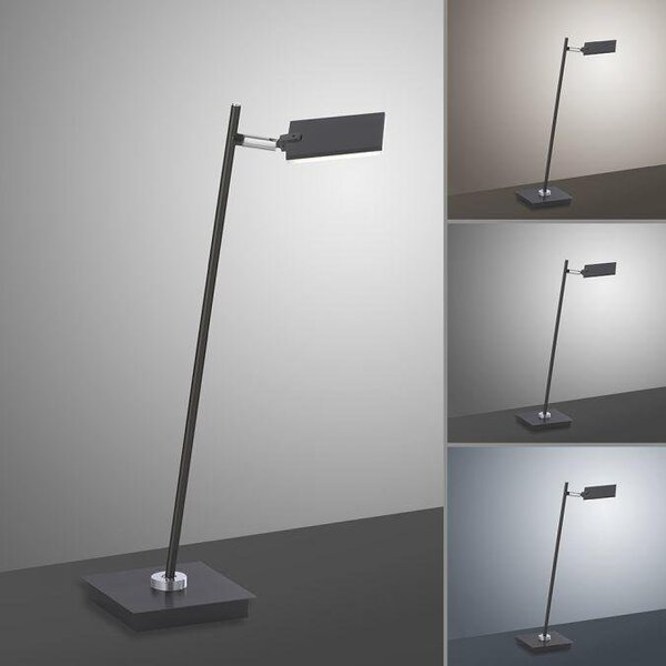 Paul Neuhaus Stolní LED lampa PURE-MIRA 7,5W, v. 55 cm, 2700-5000K Barva: Hliník
