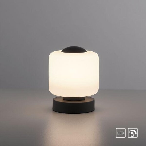 Paul Neuhaus Stolní LED lampa BOTA, 7W, v.15,5 cm, 3000K stmívatelná, dotykový stmívač Barva: Mosaz
