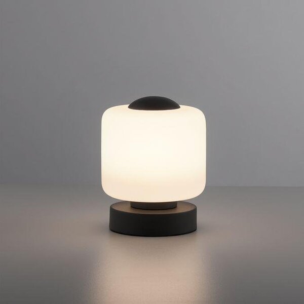 Paul Neuhaus Stolní LED lampa BOTA, 7W, v.15,5 cm, 3000K stmívatelná, dotykový stmívač Barva: Mosaz