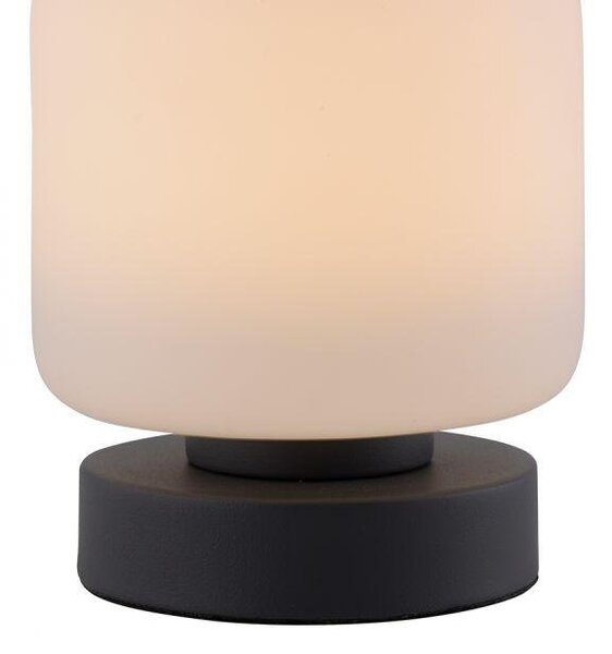 Paul Neuhaus Stolní LED lampa BOTA, 7W, v.15,5 cm, 3000K stmívatelná, dotykový stmívač Barva: Mosaz
