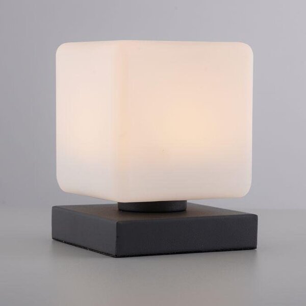 Paul Neuhaus Stolní LED lampa DADOA, 7W, 12x12 cm, 3000K stmívatelná, dotykový stmívač Barva: Stříbrná