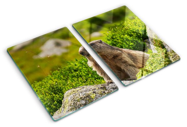 Krájecí prkénko skleněné Svišť na pozadí zelené trávy ddk-nr-wm-00005649