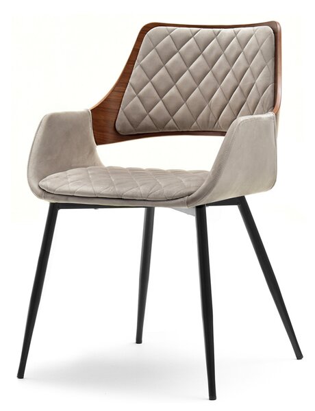 Židle Morgana (ořech + černá). Akce -20%