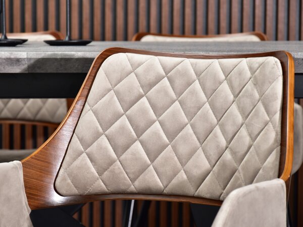 Židle Morgana (ořech + černá). Akce -20%