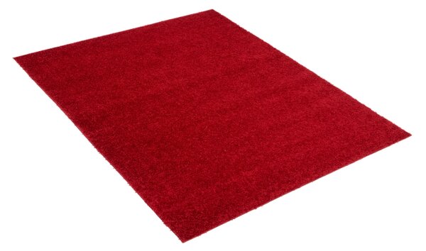 Exkluzivní kusový koberec SHAGGY PORTE-T TK0020 - 70x250 cm