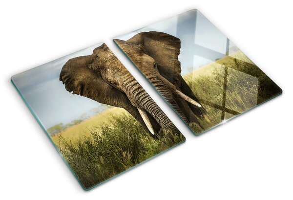 Krájecí prkénko skleněné Slon na pozadí africké savany ddk-nr-wm-00005693