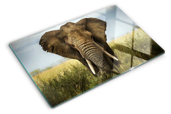 Krájecí prkénko skleněné Slon na pozadí africké savany ddk-nr-wm-00005693