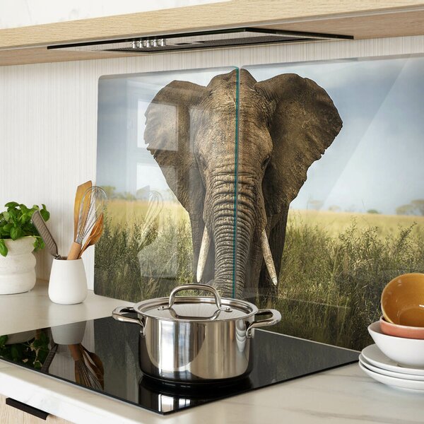 Krájecí prkénko skleněné Slon na pozadí africké savany ddk-nr-wm-00005693