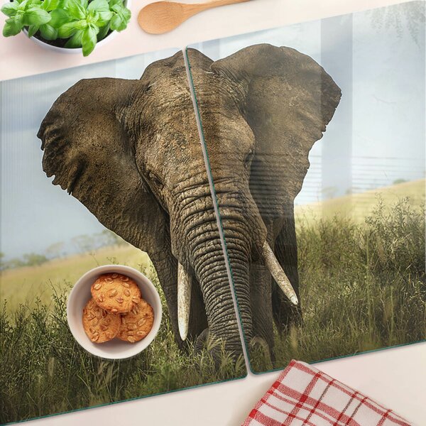 Krájecí prkénko skleněné Slon na pozadí africké savany ddk-nr-wm-00005693
