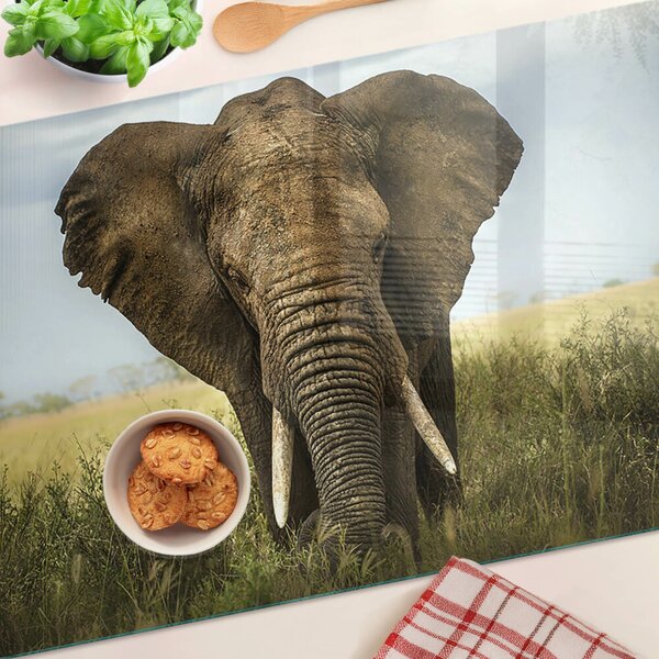 Krájecí prkénko skleněné Slon na pozadí africké savany ddk-nr-wm-00005693