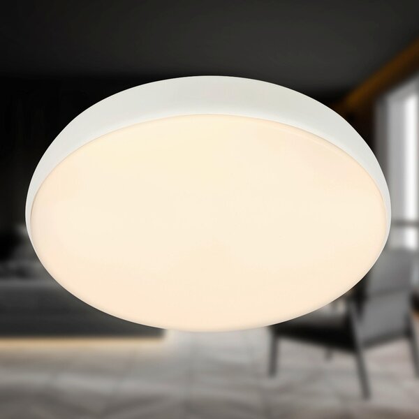 STROPNÍ LED SVÍTIDLO, 35/8.5 cm - Stropní svítidla