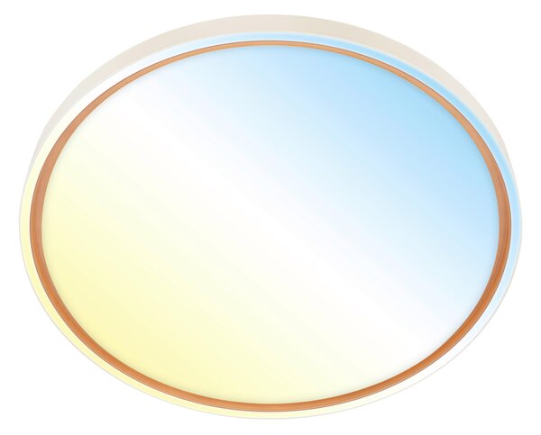 STROPNÍ LED SVÍTIDLO, 49,5/6,5 cm - Stropní svítidla
