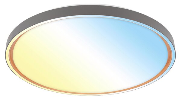 STROPNÍ LED SVÍTIDLO, 49.5/6,5 cm - Stropní svítidla