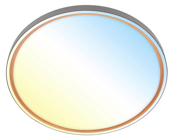 STROPNÍ LED SVÍTIDLO, 49.5/6,5 cm - Stropní svítidla
