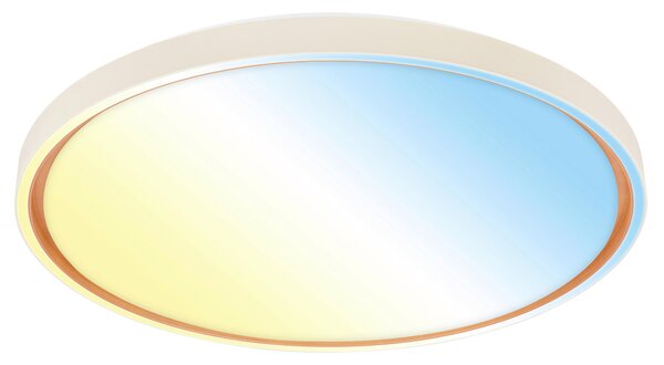 STROPNÍ LED SVÍTIDLO, 49,5/6,5 cm - Stropní svítidla