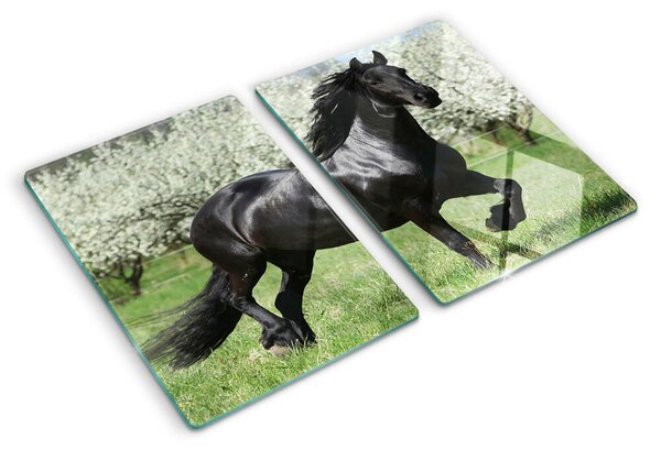 Skleněná deska do kuchyně Černý kůň na louce ddk-nr-wm-00005694