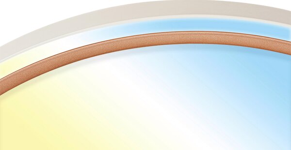 STROPNÍ LED SVÍTIDLO, 49,5/6,5 cm - Stropní svítidla