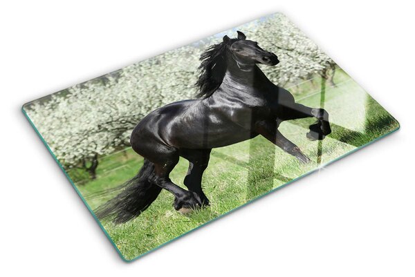 Skleněná deska do kuchyně Černý kůň na louce ddk-nr-wm-00005694