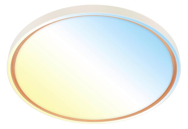 STROPNÍ LED SVÍTIDLO, 49,5/6,5 cm - Stropní svítidla