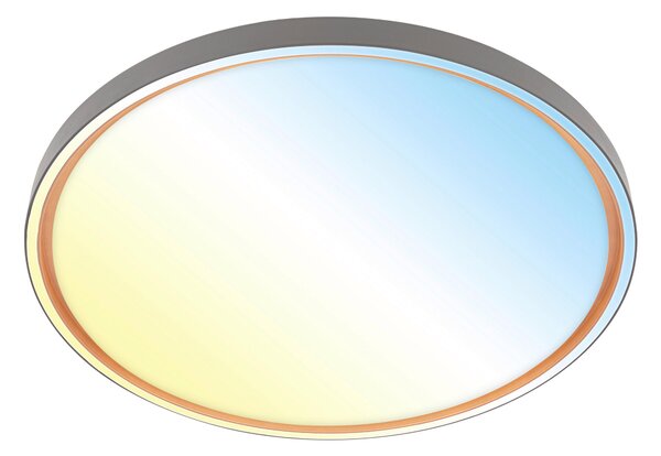 STROPNÍ LED SVÍTIDLO, 49.5/6,5 cm - Stropní svítidla