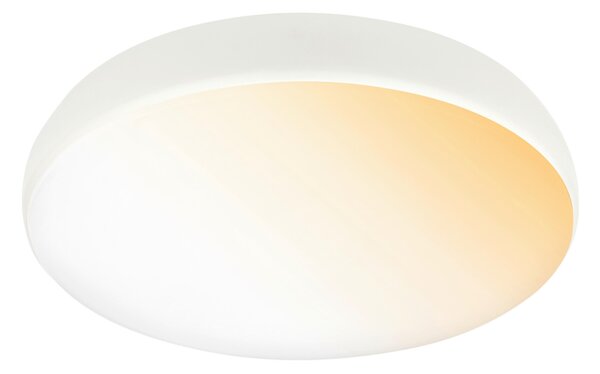 STROPNÍ LED SVÍTIDLO, 35/8.5 cm - Stropní svítidla