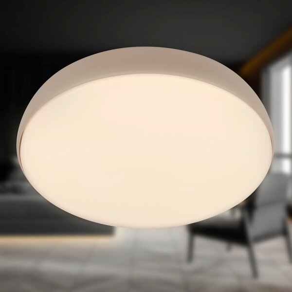 STROPNÍ LED SVÍTIDLO, 35/8.5 cm - Stropní svítidla