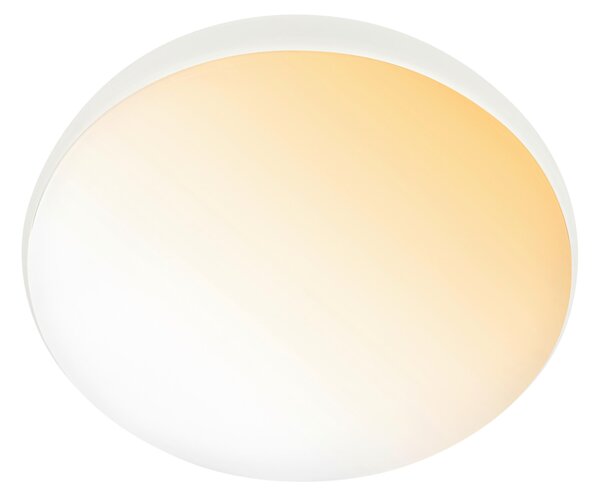 STROPNÍ LED SVÍTIDLO, 35/8.5 cm - Stropní svítidla