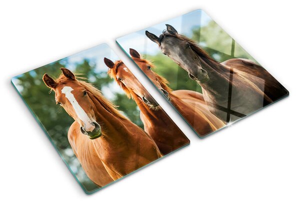 Krájecí prkénko skleněné Koně v přírodě ddk-nr-wm-00005708