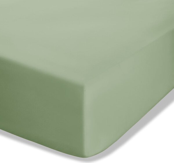 Zelené napínací perkálové prostěradlo 90x190 cm Easy Iron Percale – Catherine Lansfield