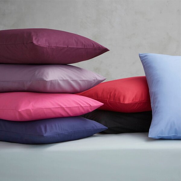 Šedé perkálové prostěradlo 180x260 cm Easy Iron Percale – Catherine Lansfield