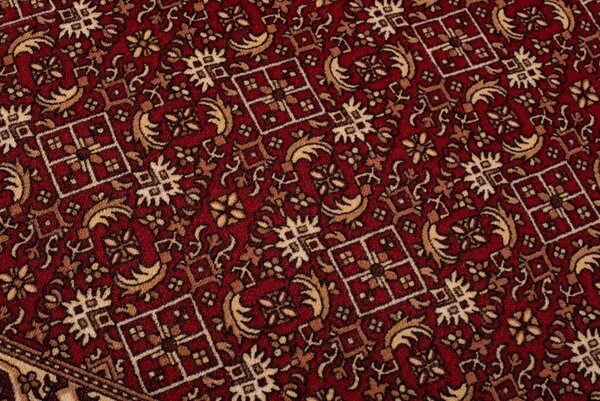 Běhoun pogumovaný ZINO ZN0270-M - 67x200 cm