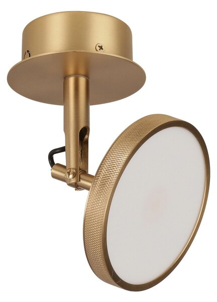 Stropní Lampa UMAGE, Asteria Spot, stmívatelné, Zlatá / mosazná, Obývací pokoj, Kov, Design