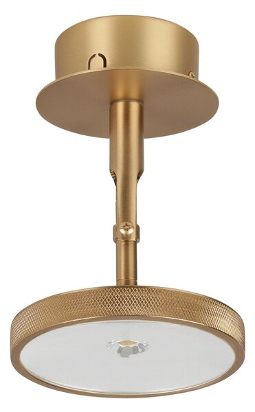 Stropní Lampa UMAGE, Asteria Spot, stmívatelné, Zlatá / mosazná, Obývací pokoj, Kov, Design