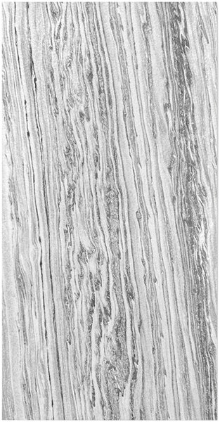AKUSTICKÝ PANEL velikost: 52/104/0.7 cm Jangal - Online Only tapety, Online Only
